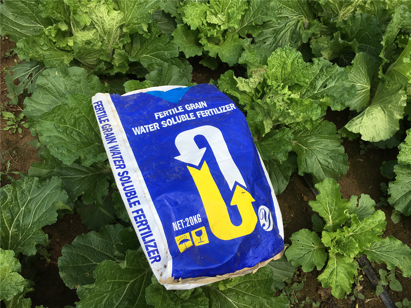 水溶肥和復(fù)合肥的區(qū)別有哪些？