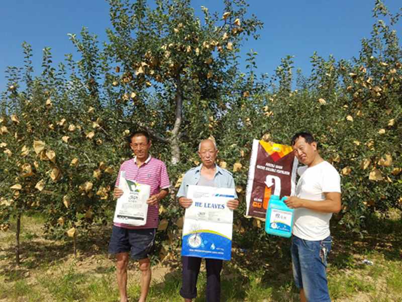 選擇水溶肥時需要查看哪些內(nèi)容呢？