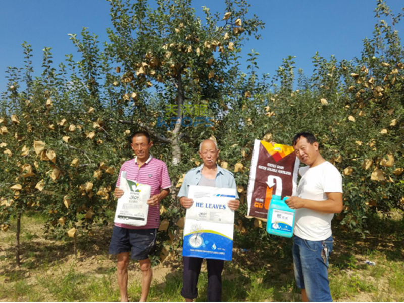 生根劑-果樹根腐救星！