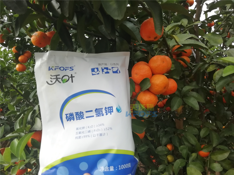 磷酸二氫鉀施用事半功倍，果樹(shù)補(bǔ)鉀應(yīng)怎么選？