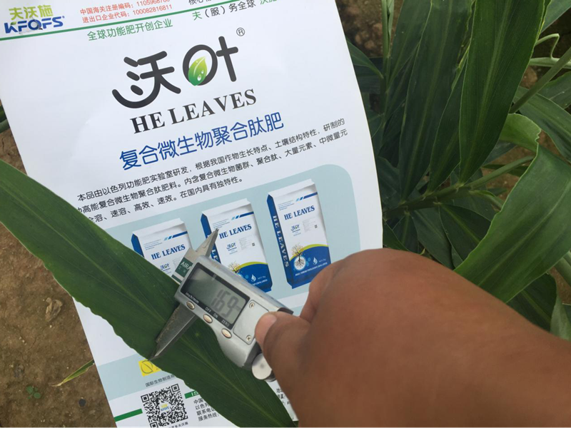 都說微生物菌劑好，到底有啥用