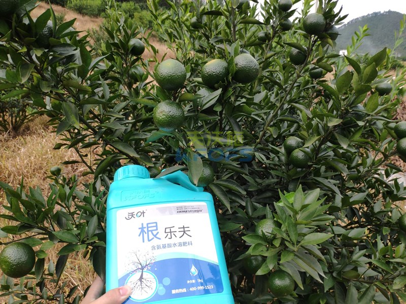 生根肥什么時(shí)候施好，正確的用肥方法來(lái)了！