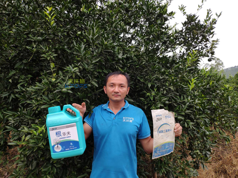 果樹(shù)生根劑用什么好，你真的選對(duì)了嗎？