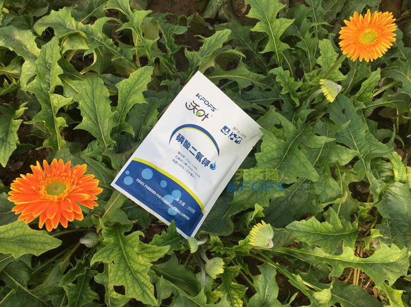 磷酸二氫鉀怎么用效果好？