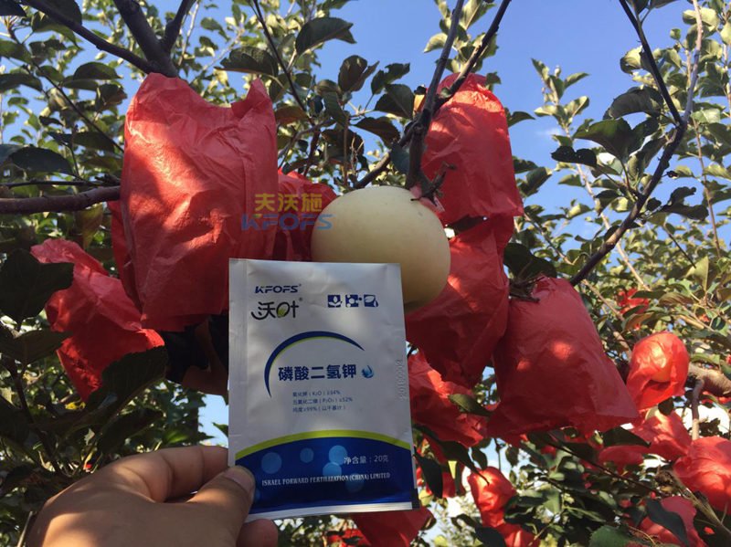 磷鉀肥和磷酸二氫鉀有什么區(qū)別？