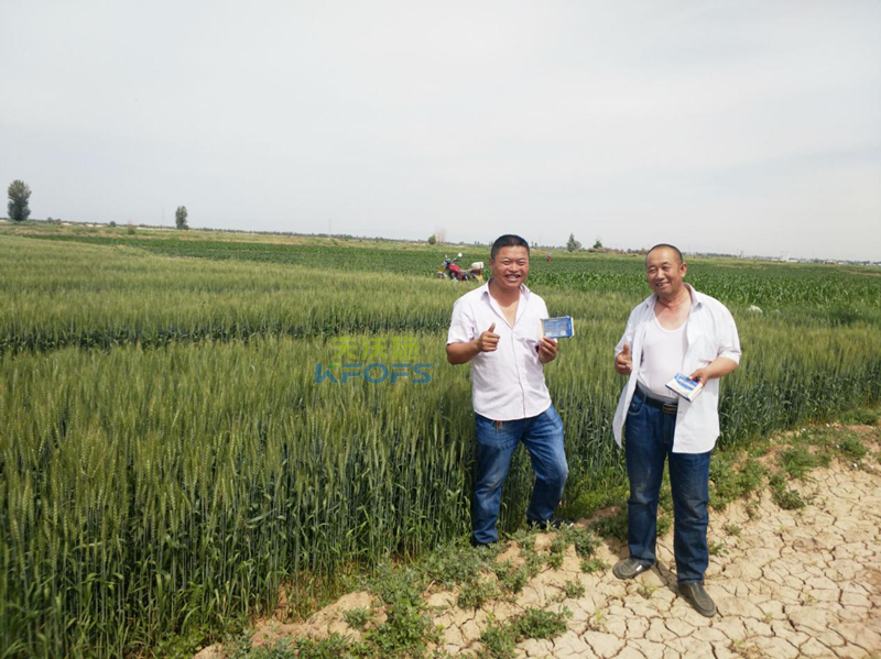 肥料價(jià)格的差距給作物帶來(lái)了什么樣的差距？