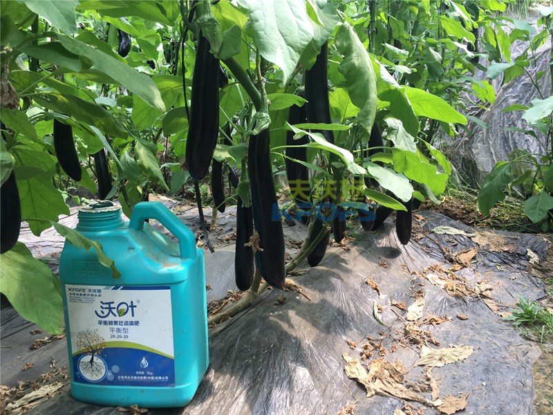 茄子對肥料有什么需求？