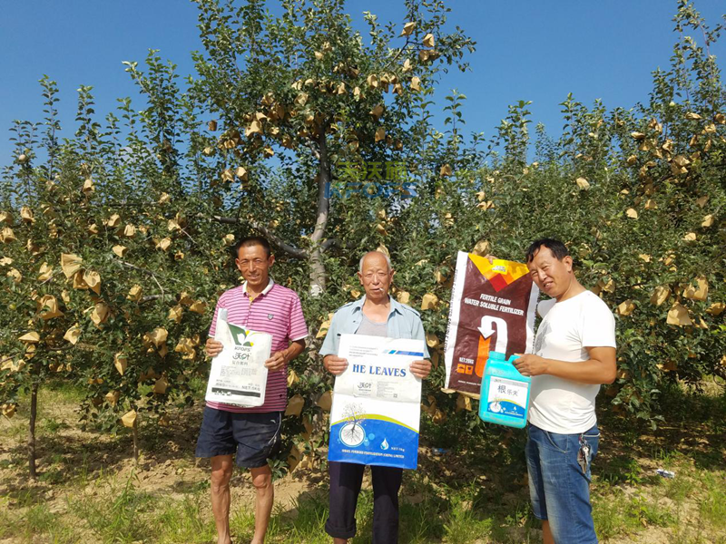 什么樣的水溶肥安全可信賴？