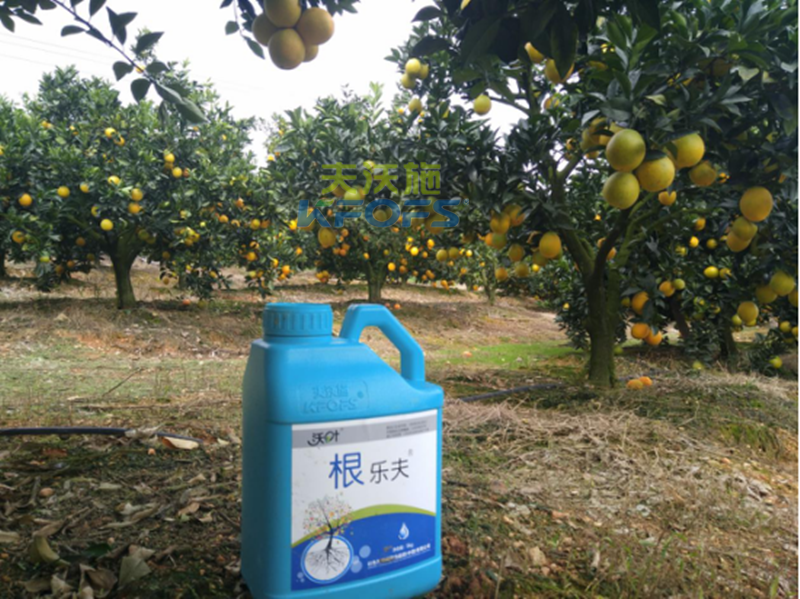 如何正確使用生根劑？