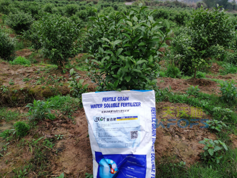 沖施肥哪家好？