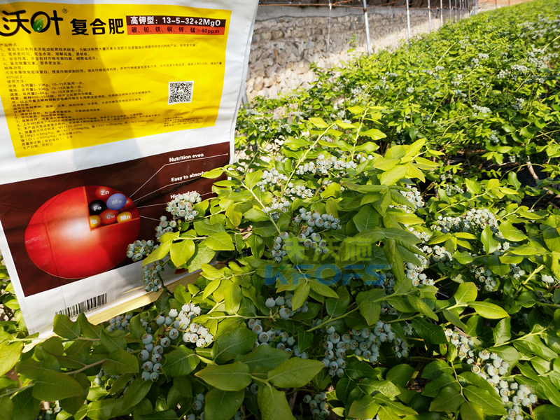 肥料價格的差距，給作物帶來了什么差距？