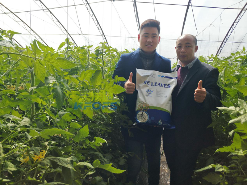 50年后的土壤如何，值得我們深思!