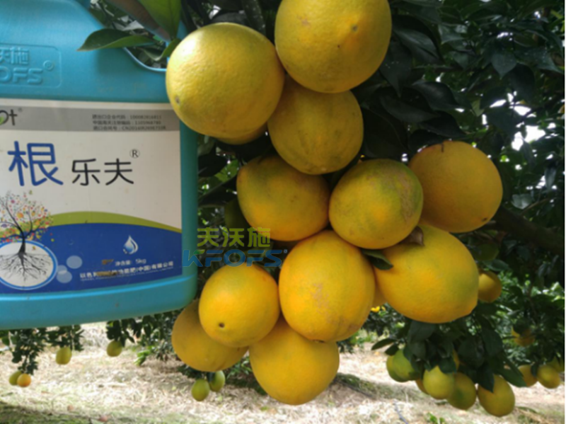 果樹(shù)沖施肥的方法和時(shí)間？