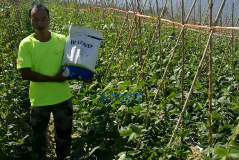 豆角沖施肥怎么用？