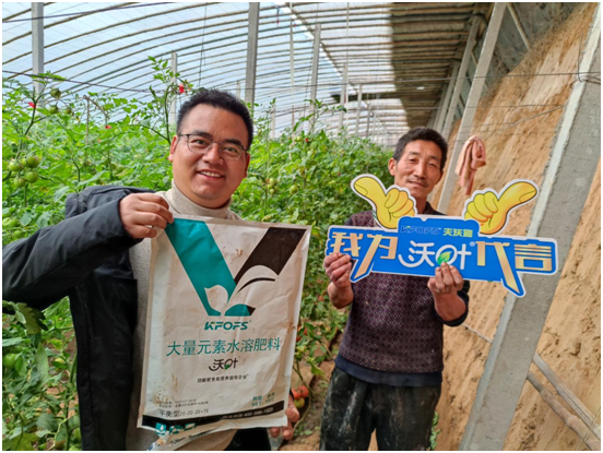 水溶肥那一個廠的好！