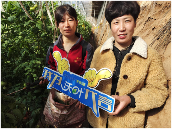 水溶肥哪一個(gè)廠(chǎng)的好-夫沃施沃葉用戶(hù)見(jiàn)證 (2).png