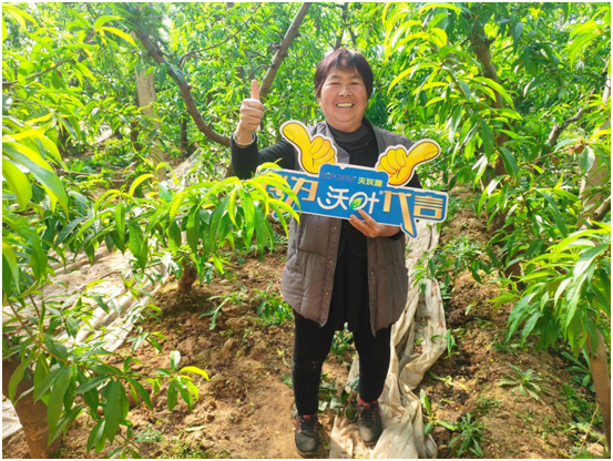 水溶肥哪個公司的好？國產進口做比較！