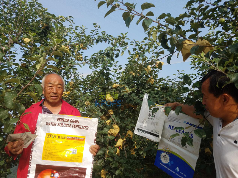 蘋果樹施什么肥好？