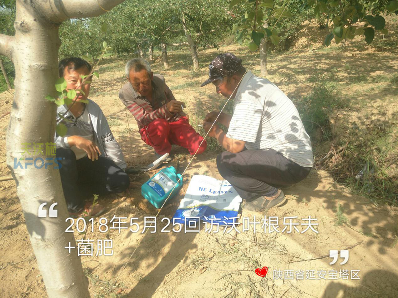 生根劑使用方法！