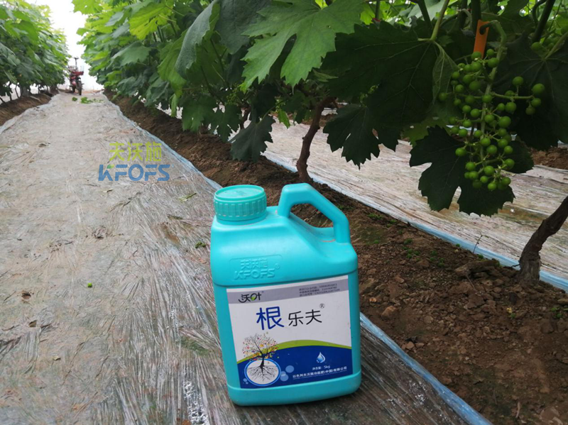 沖施肥哪個(gè)牌子好?