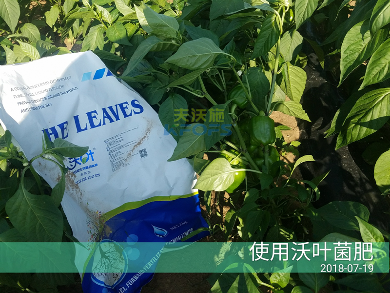 生物菌肥作用？