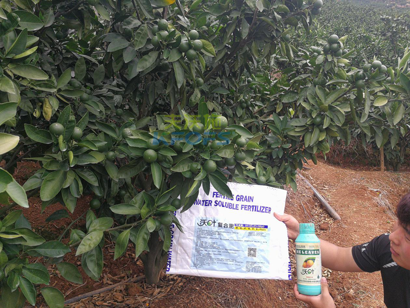 什么水溶肥好？