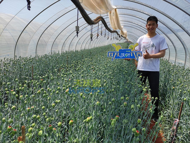 進口水溶肥怎么選？王總的答案！