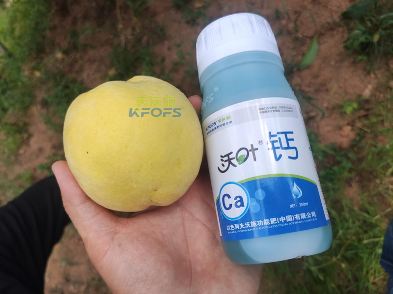 水溶肥-桃樹(shù)用沃葉鈣肥.png