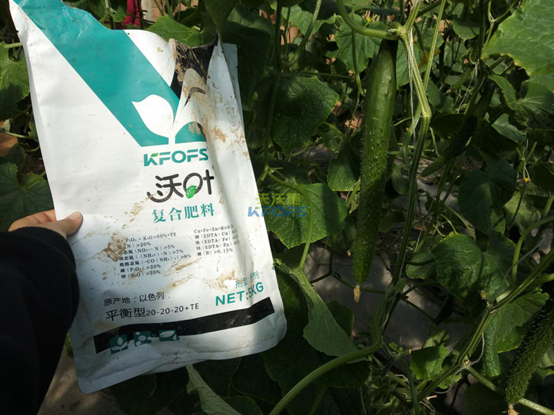 復(fù)合肥的使用方法 復(fù)合肥的使用方法