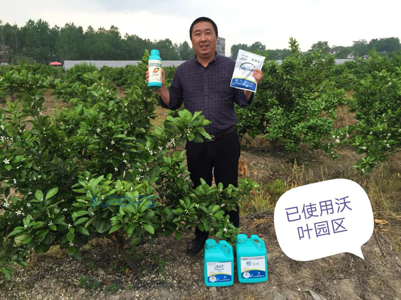 磷酸二氫鉀的用途 磷酸二氫鉀的用途