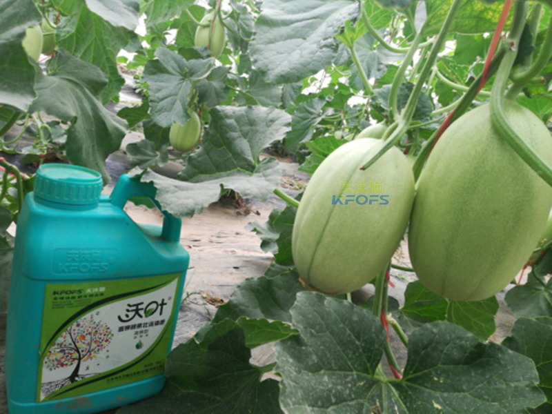 水溶肥您了解多少？