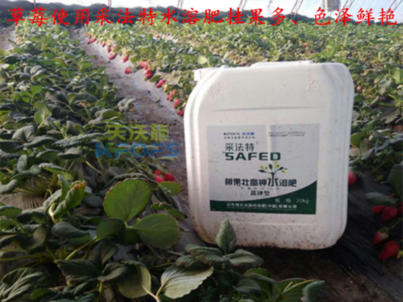 進口肥料如何選擇