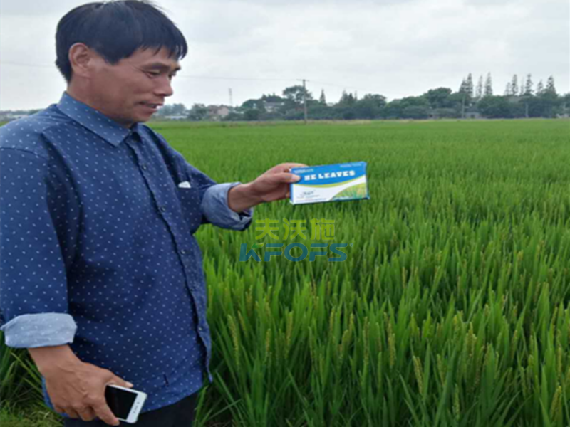 進口葉面肥vs國產(chǎn)葉面肥