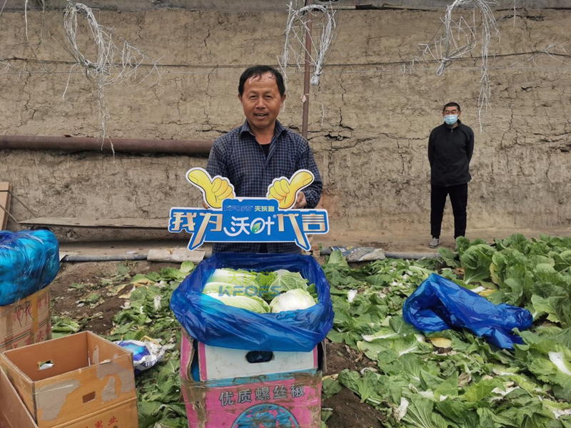 水溶肥那么多，你真的選對了嗎？