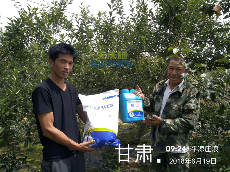 蘋果怎么施肥？