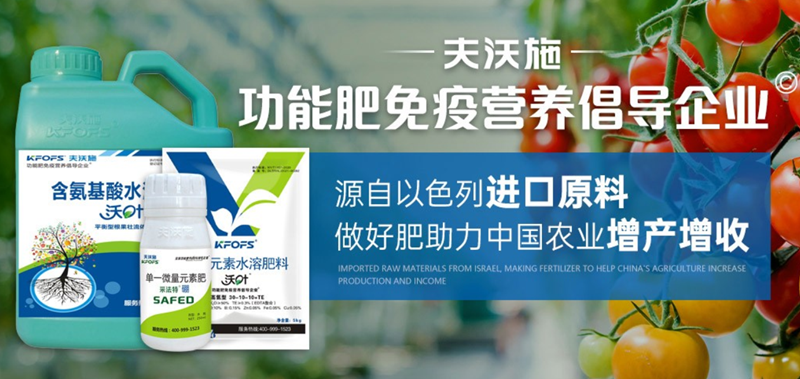 夫沃施2017年新品發(fā)布