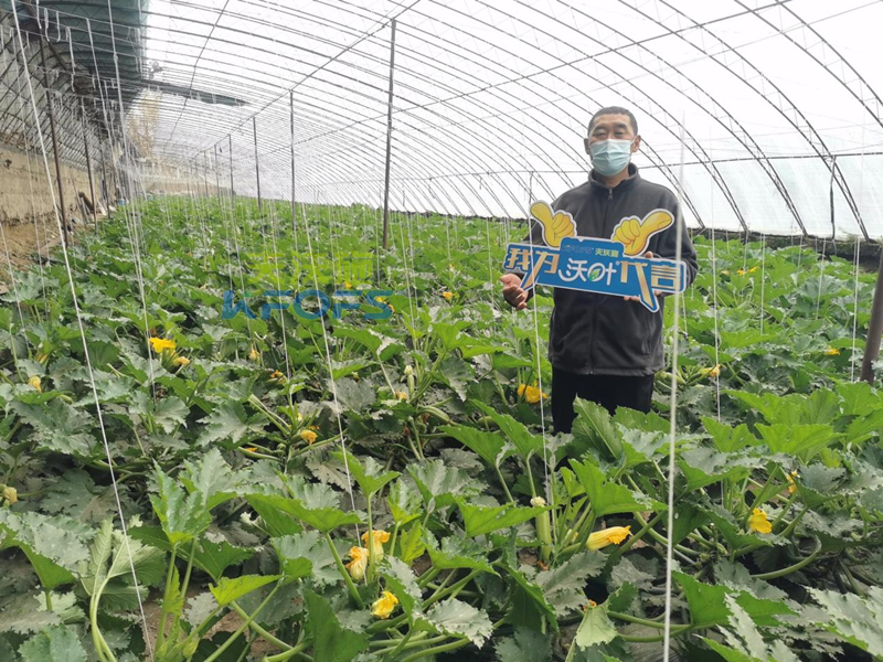 什么是水溶肥？80%的農(nóng)資經(jīng)銷商看完收藏了！