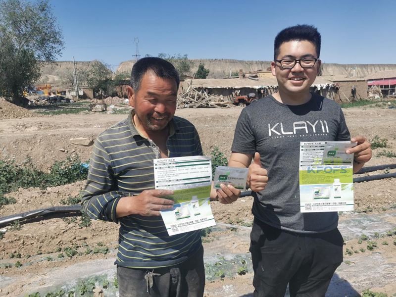 棉花高產(chǎn)施肥的種植技術(shù)，實地經(jīng)驗總結(jié)