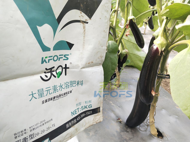 水溶肥是什么肥料？