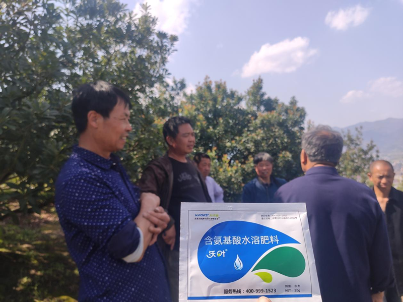 楊梅噴什么水溶肥好？