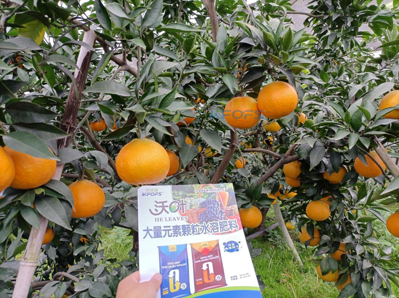 水溶肥可以直接撒施嗎？