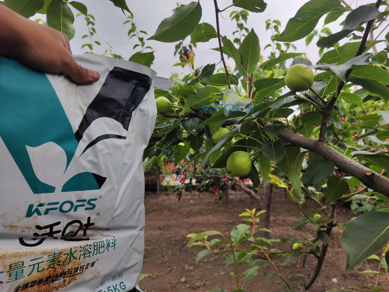 水溶肥好在哪-梨樹用沃葉水溶肥.png