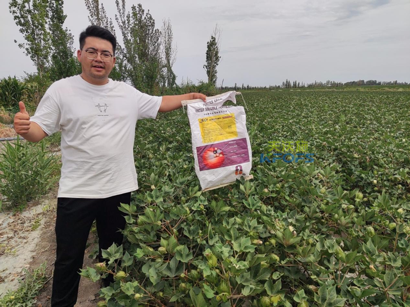 棉花高產栽培技術，一起圍觀！