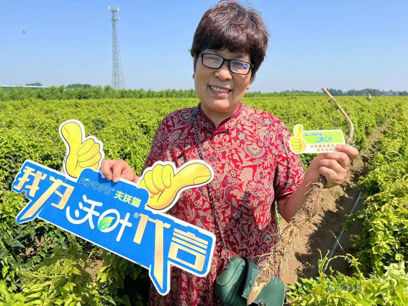 改良土壤肥料有哪些？夫沃施功能肥