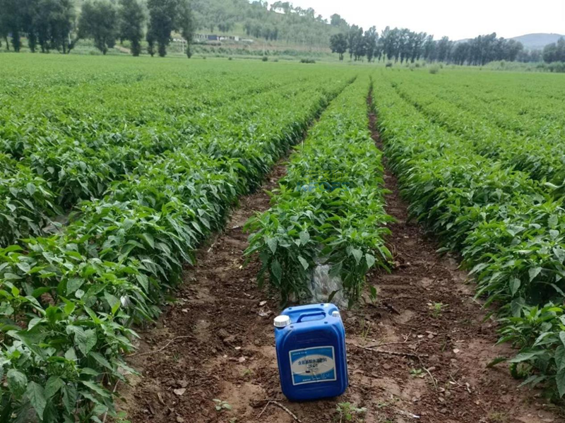 水溶肥哪家好？用過(guò)才知道