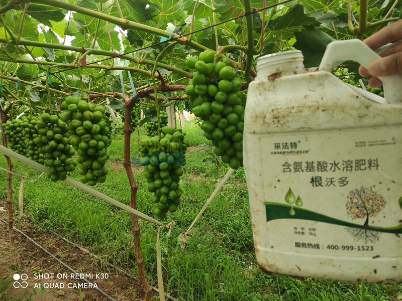 水溶肥怎么選？夫沃施告訴你這幾點(diǎn)