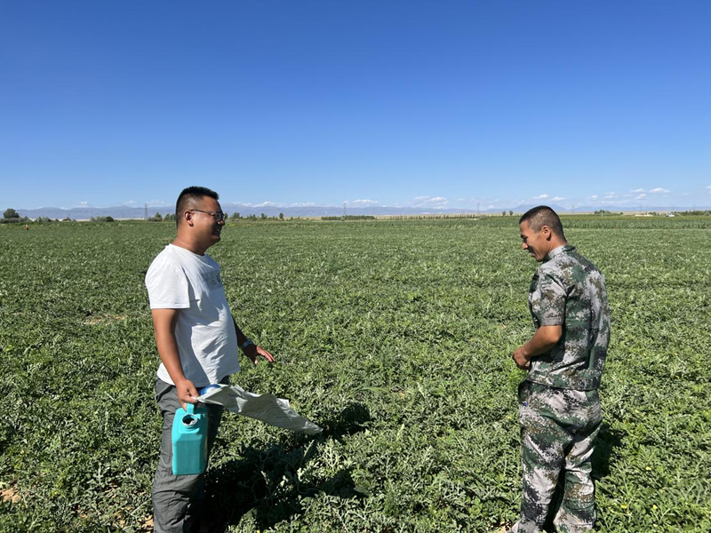 水溶肥好不好？用過才知道