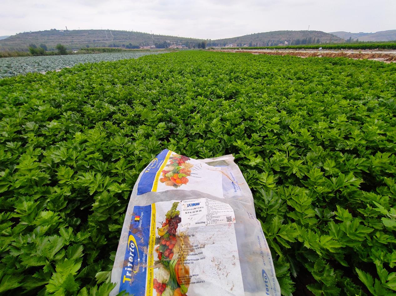 顆粒水溶肥哪家好？