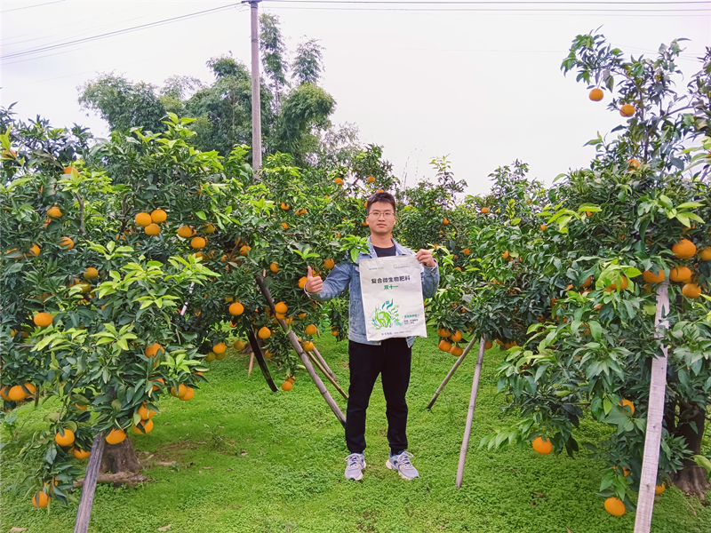 水溶肥哪家好？聽聽種植戶怎么說(shuō)！