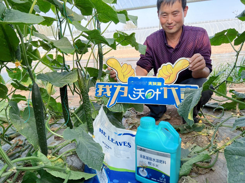 微生物菌劑越來越受歡迎的原因有哪些？